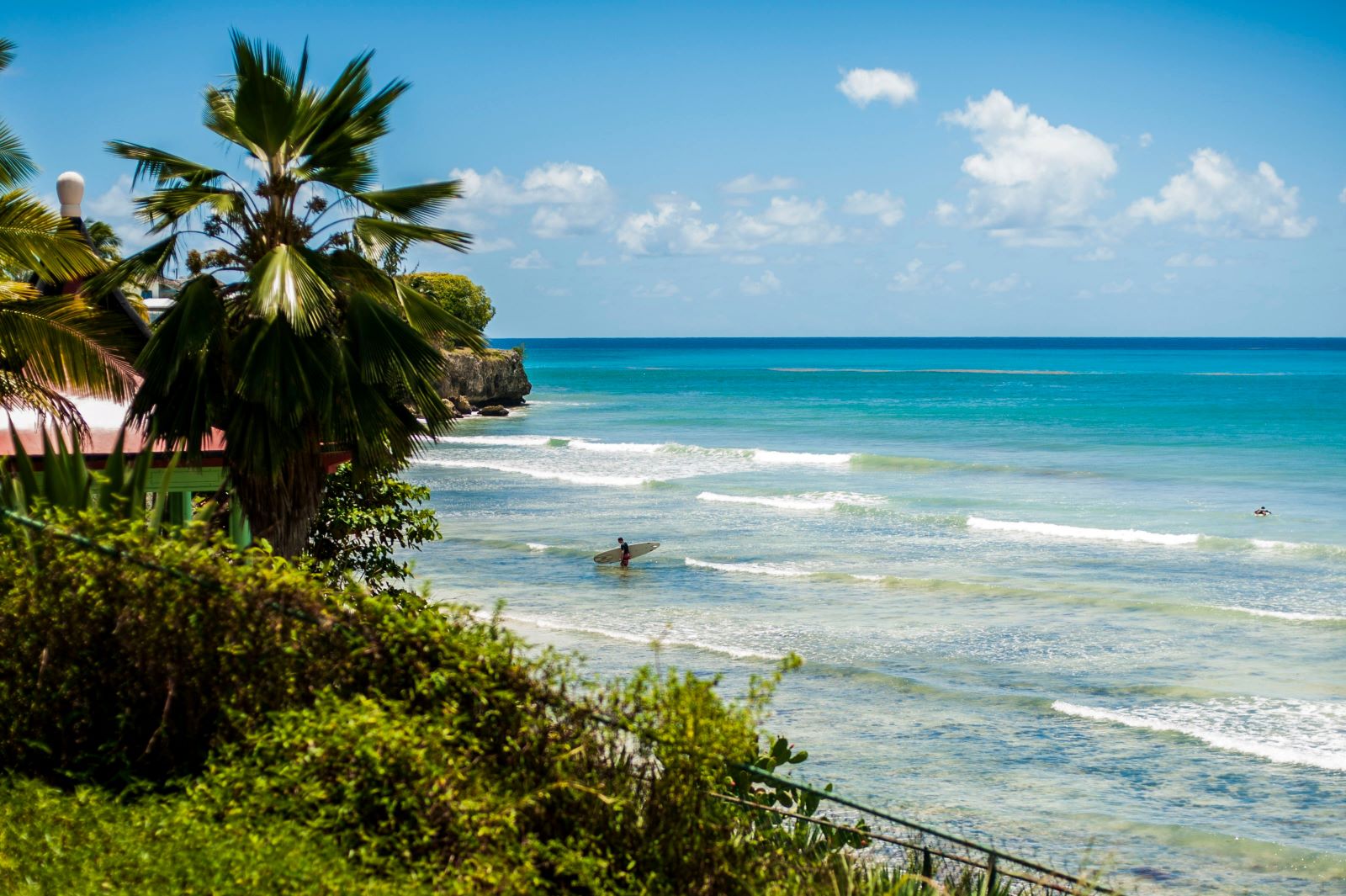 Business Support Assistant SC 5 - Roster for the Caribbean Multi-Country Office